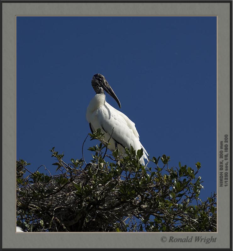 2006-04-12_01_DSC4312