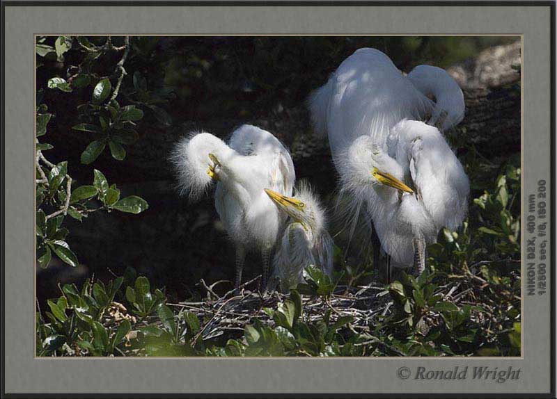 2006-04-12_01_DSC4324