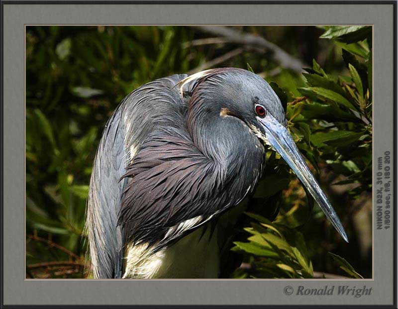 2006-04-12_01_DSC4384