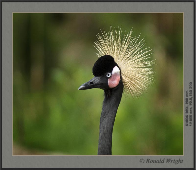 2006-04-12_01_DSC4416