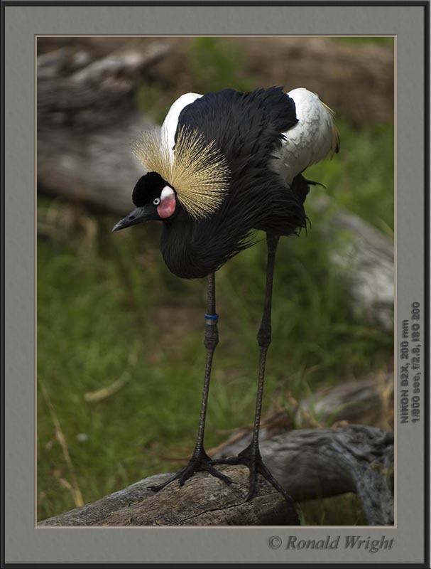 2006-04-12_01_DSC4421