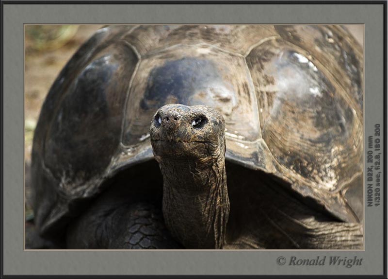 2006-04-12_01_DSC4429