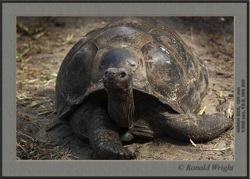 2006-04-12_01_DSC4430