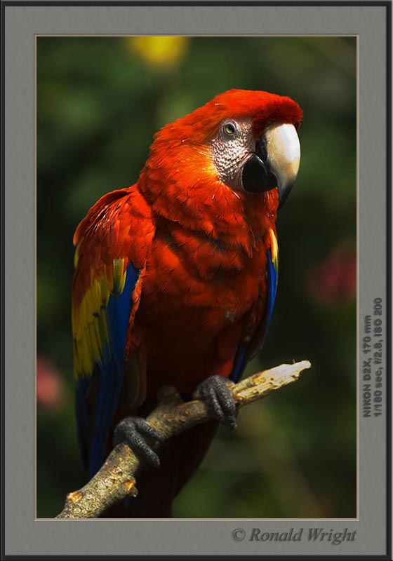 2006-04-12_01_DSC4444a