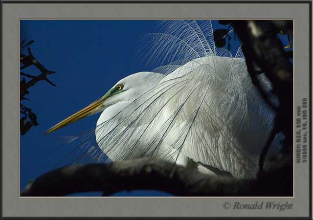 2006-04-30_01_DSC4772