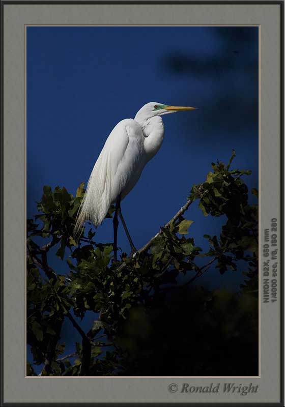 2006-04-30_01_DSC4801