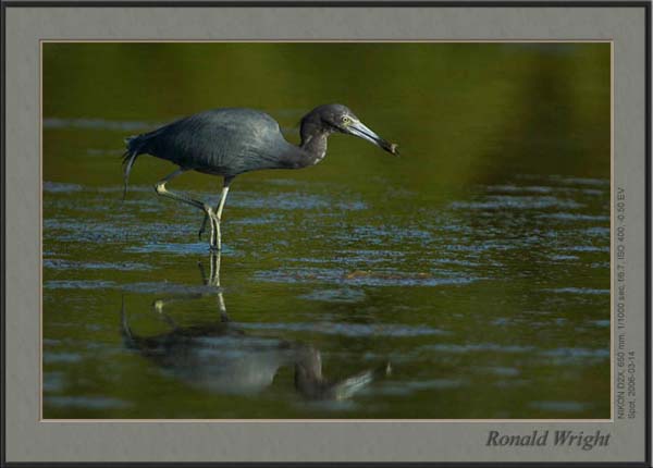 2006-03-14_01_DSC3814