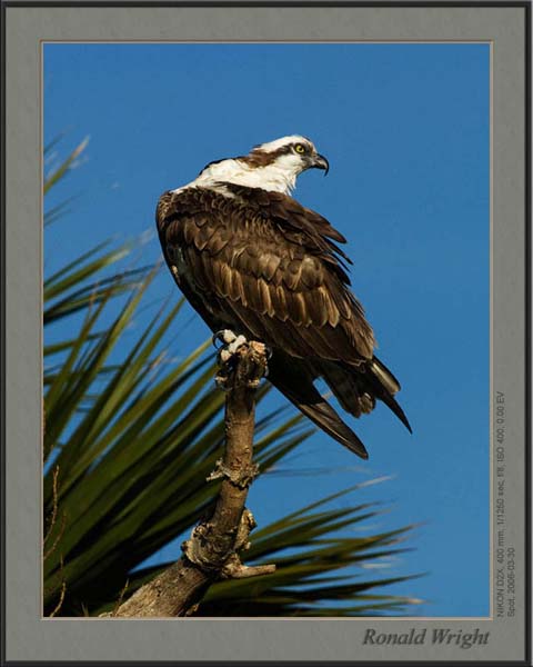 2006-03-30_01_DSC4003