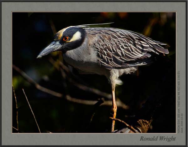 2006-03-30_01_DSC4077a