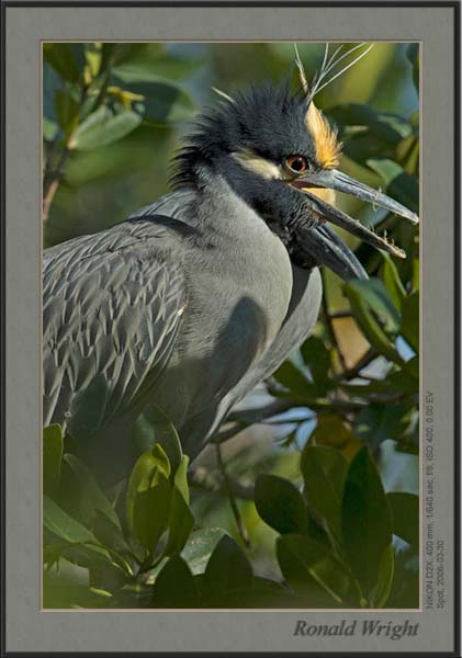 2006-03-30_01_DSC4095