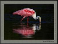 2006-03-14_01_DSC3791