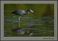 2006-03-14_01_DSC3814