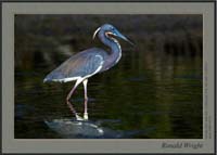 2006-03-14_01_DSC3828a