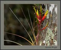 2006-03-18_01_DSC3934