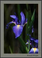 2006-03-18_01_DSC3937