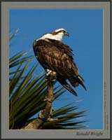 2006-03-30_01_DSC4003