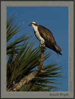 2006-03-30_01_DSC4009