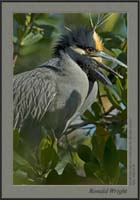 2006-03-30_01_DSC4095