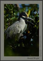 2006-03-30_01_DSC4106a