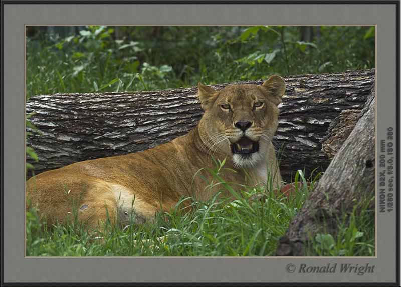 2006-04-29_01_DSC4655