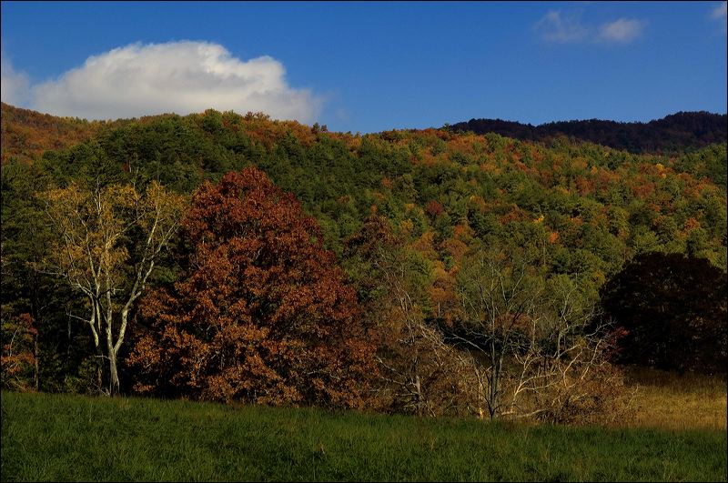 2006-10-24-01_dsc0117.jpg