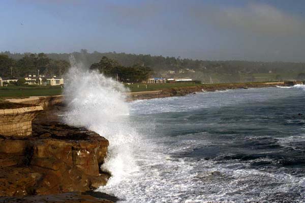 calif_0543